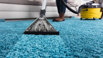 London Carpet Cleaning: Why Should You Choose Us?